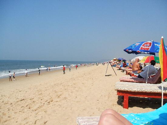 Goa Volvo Package | Go Discover Abroad 